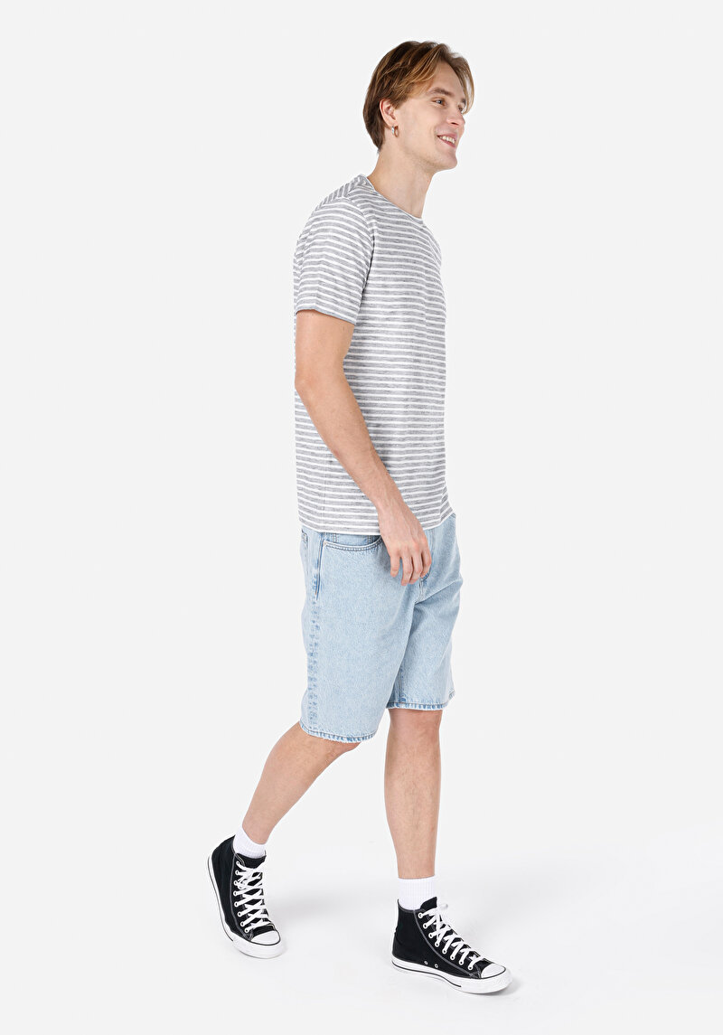 Regular Fit Yuvarlak Yaka Çizgili Erkek Gri Kısa Kol Tişört