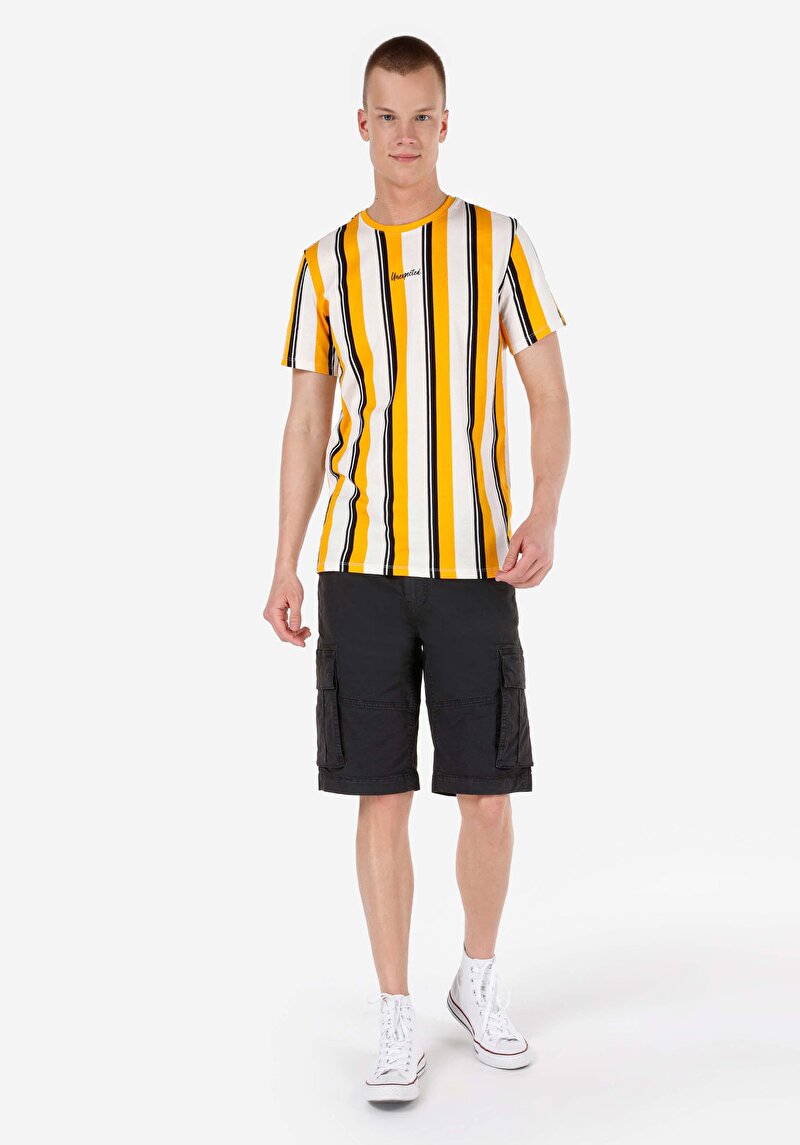 Regular Fit Yuvarlak Yaka Çizgili Erkek Sari Kısa Kol Tişört