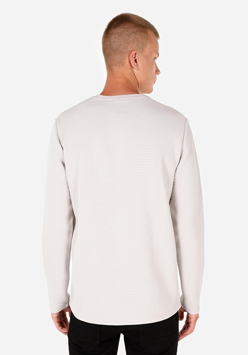 Regular Fit Yuvarlak Yaka Erkek Gri Uzun Kol Tişört