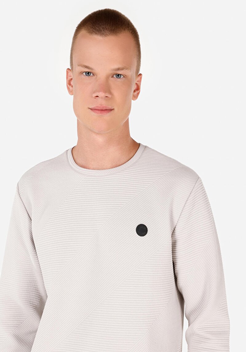 Regular Fit Yuvarlak Yaka  Erkek Gri Uzun Kol Tişört