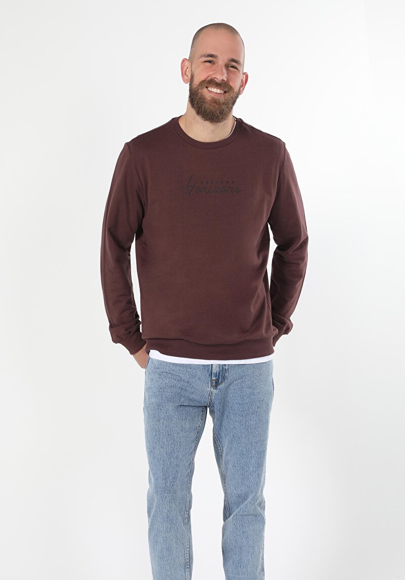 Regular Fit Erkek Mor Sweatshirt