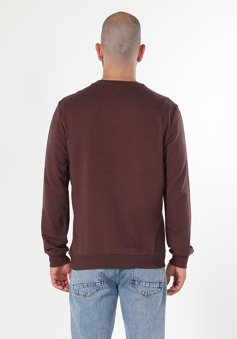 Regular Fit Erkek Mor Sweatshirt