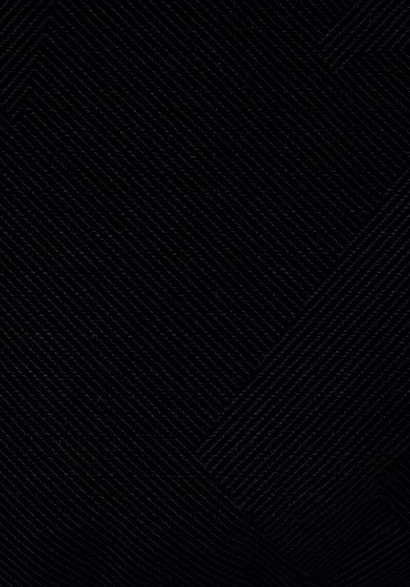 Regular Fit     Erkek Siyah Yelek