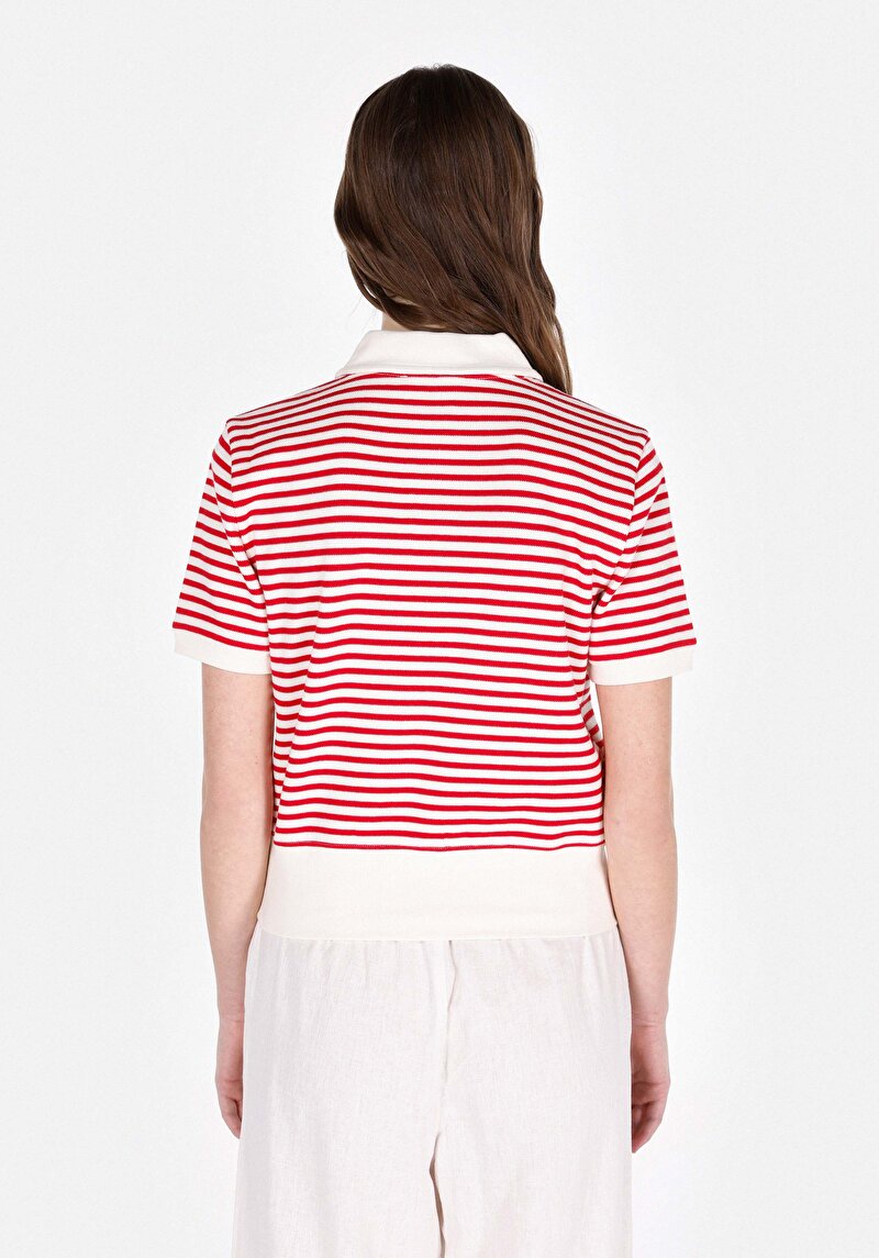 Regular Fit Polo Yaka Çizgili Kadın Kirmizi Kısa Kol Tişört