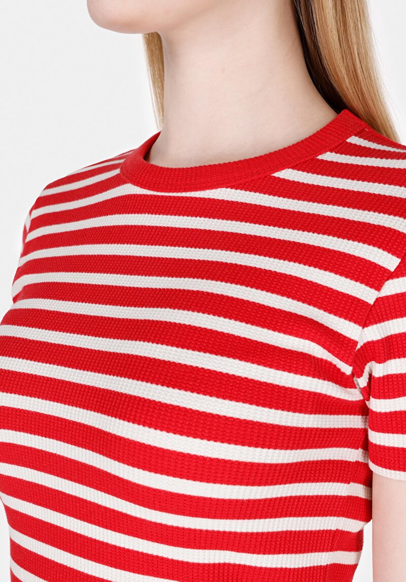 Slim Fit Yuvarlak Yaka Çizgili Kadın Kirmizi Kısa Kol Tişört