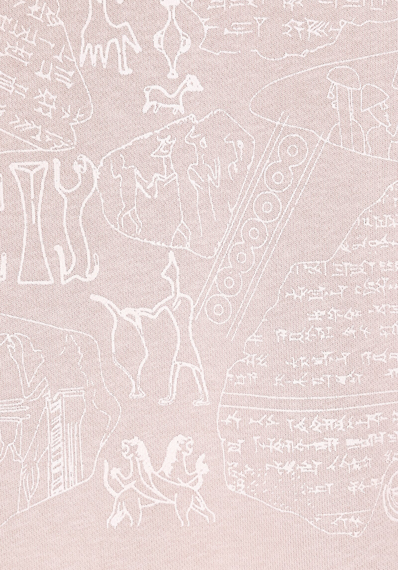 Regular Fit Kapüşonlu Baskılı Kadın  Sweatshirt