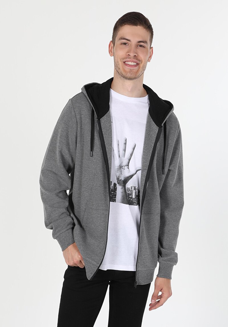 Regular Fit Erkek Gri Sweatshirt