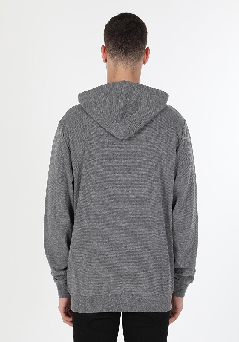 Regular Fit Erkek Gri Sweatshirt