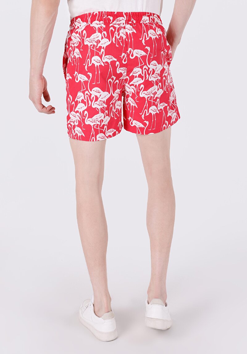 Slim Fit Baskılı Erkek Kirmizi Deniz Şortu
