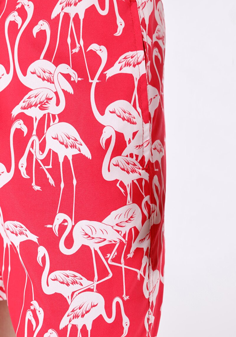 Slim Fit Baskılı Erkek Kirmizi Deniz Şortu