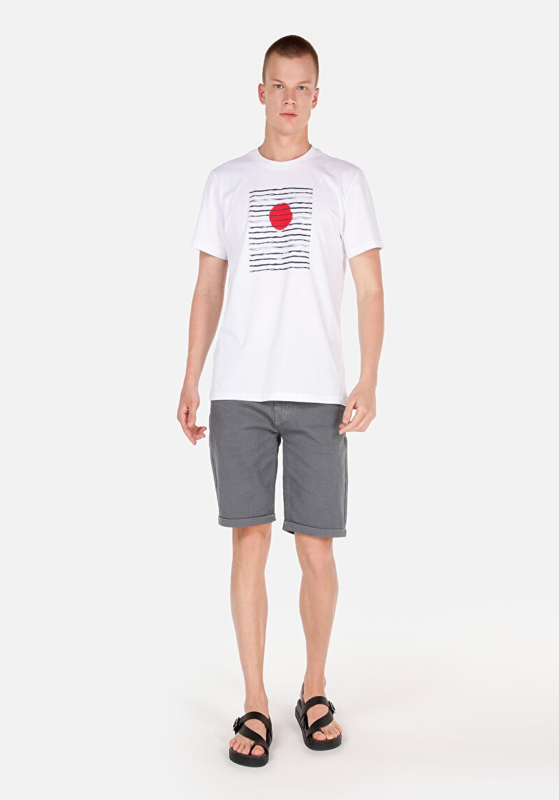 Regular Fit Orta Bel Düz Erkek Gri Şort