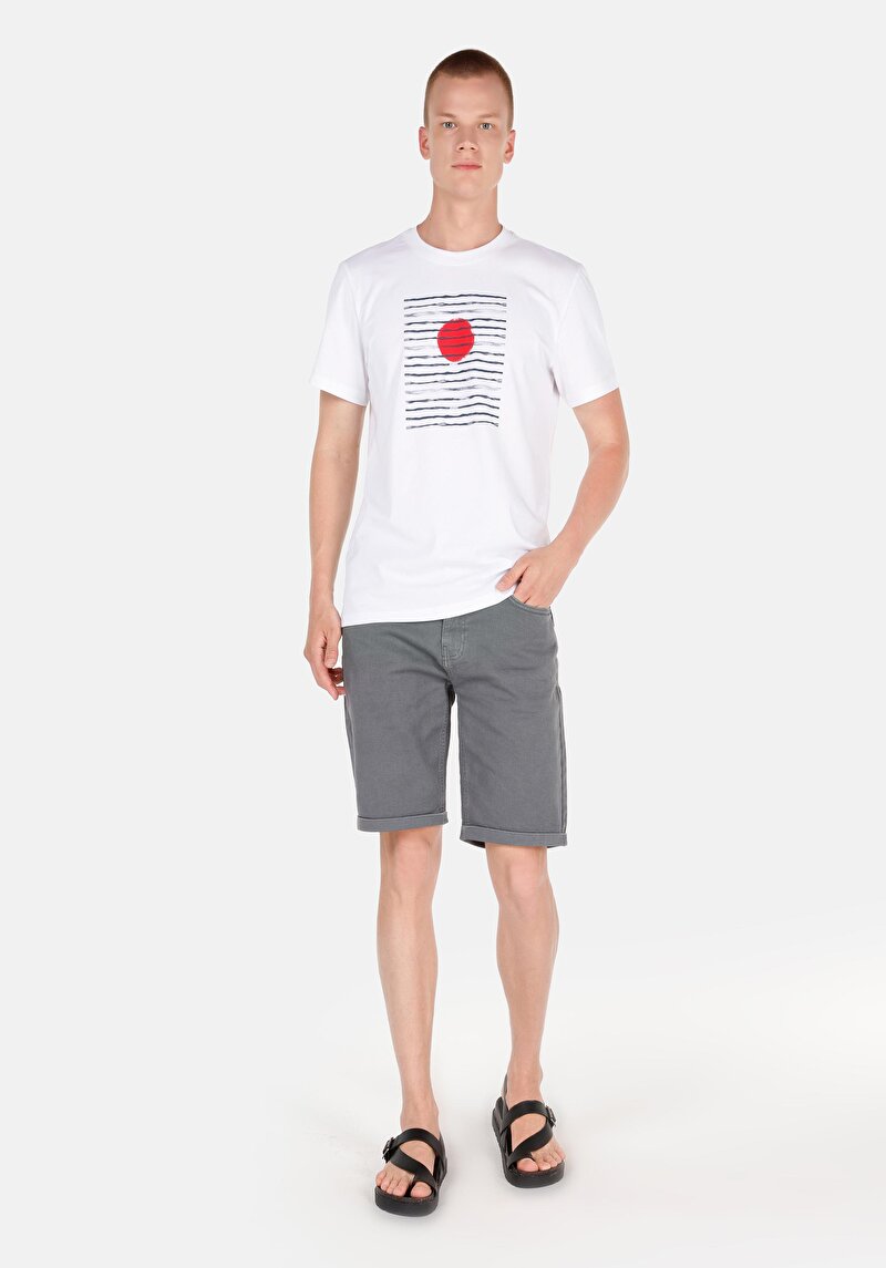 Regular Fit Orta Bel Düz Erkek Gri Şort