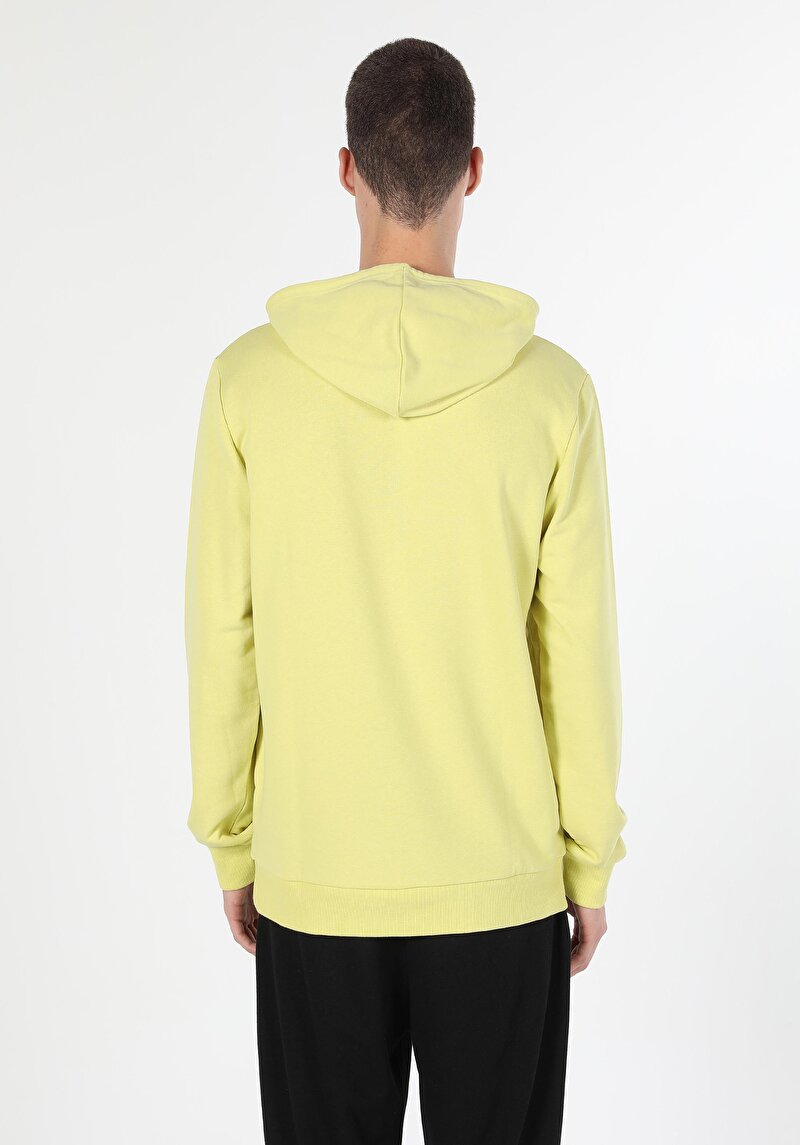 Regular Fit   Erkek Yeşil Sweatshirt