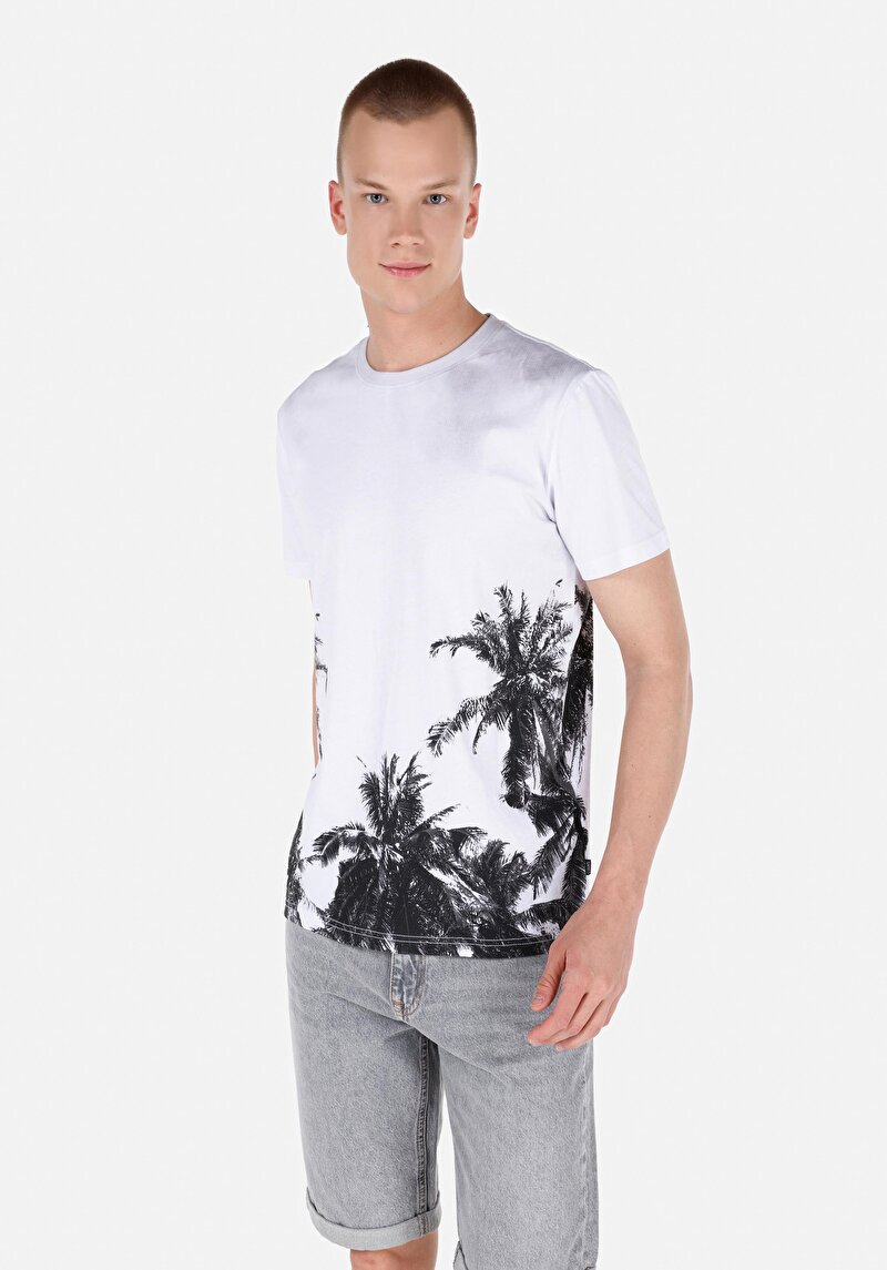 Regular Fit Yuvarlak Yaka Düz Erkek Çok Renkli Kısa Kol Tişört