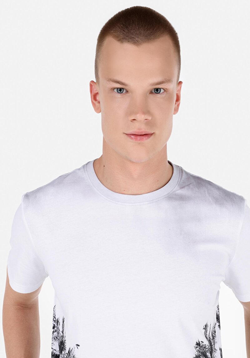 Regular Fit Yuvarlak Yaka Düz Erkek Çok Renkli Kısa Kol Tişört