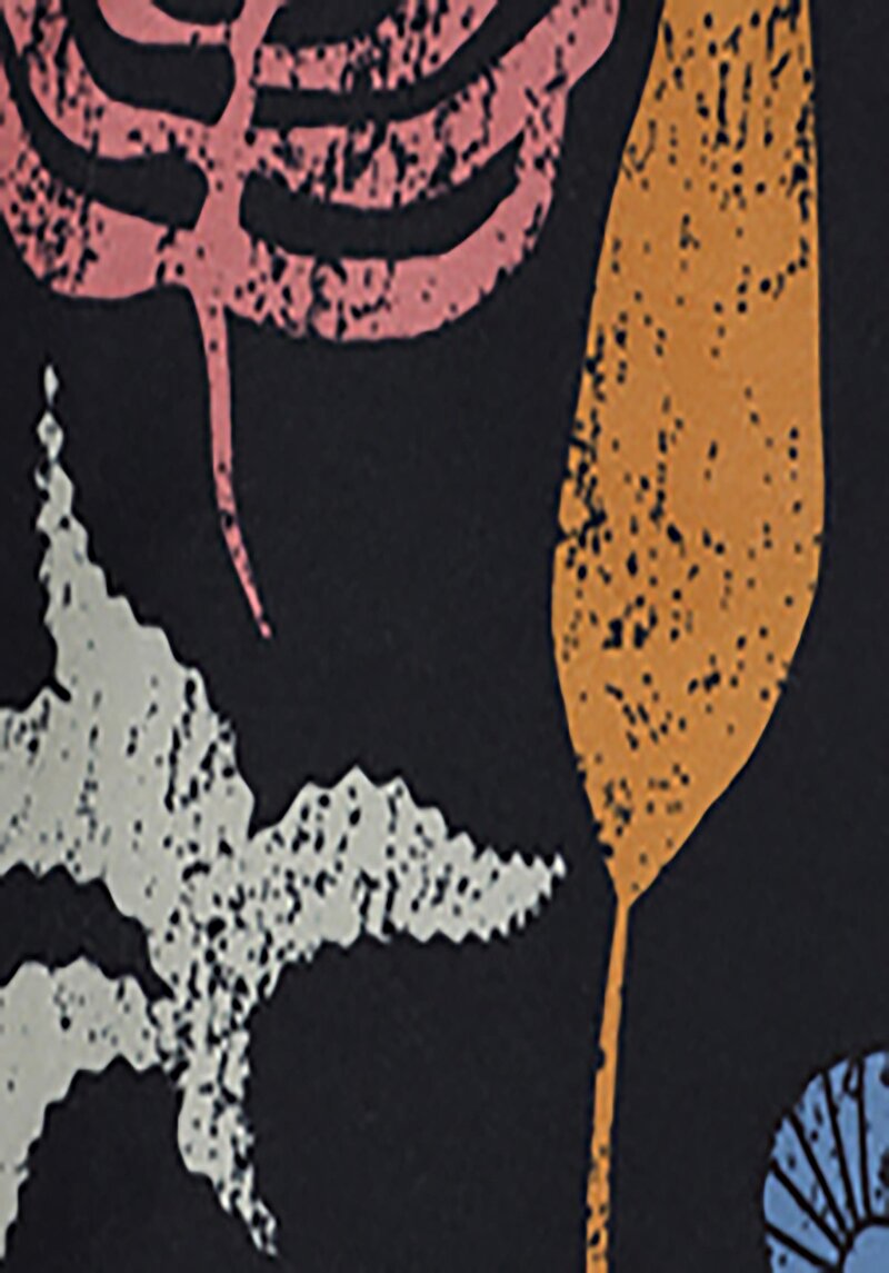 Regular Fit  Erkek Siyah Deniz Şortu