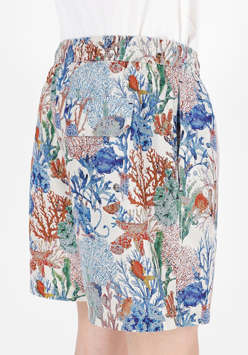 Regular Fit  Erkek Bej Deniz Şortu