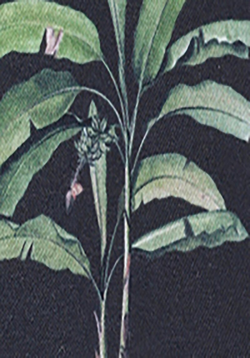 Regular Fit Orta Bel Erkek Siyah Deniz Şortu