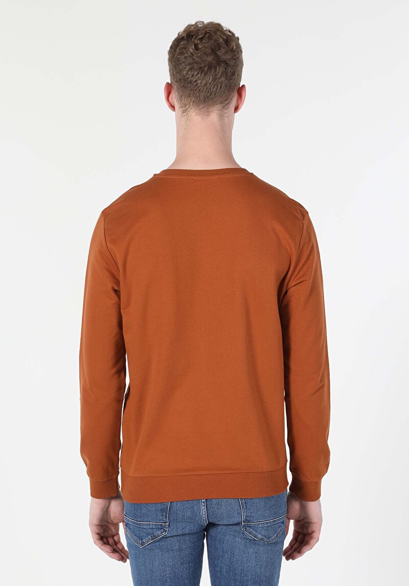 Regular Fit Erkek Kahverengi Sweatshirt