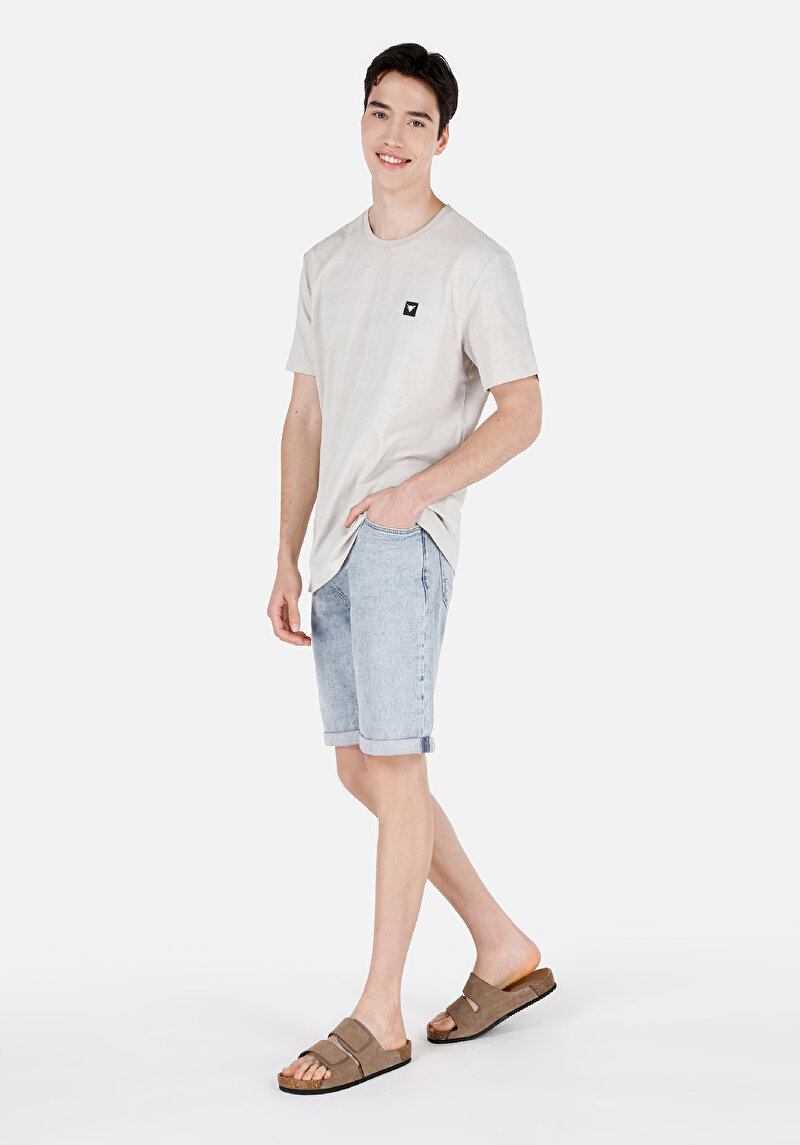 Regular Fit Yuvarlak Yaka Jakarlı Erkek Taş Kısa Kol Tişört