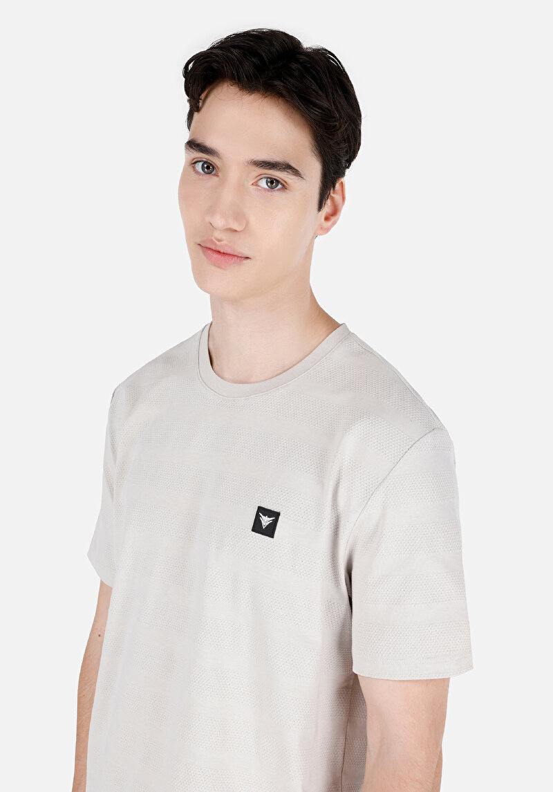 Regular Fit Yuvarlak Yaka Jakarlı Erkek Taş Kısa Kol Tişört