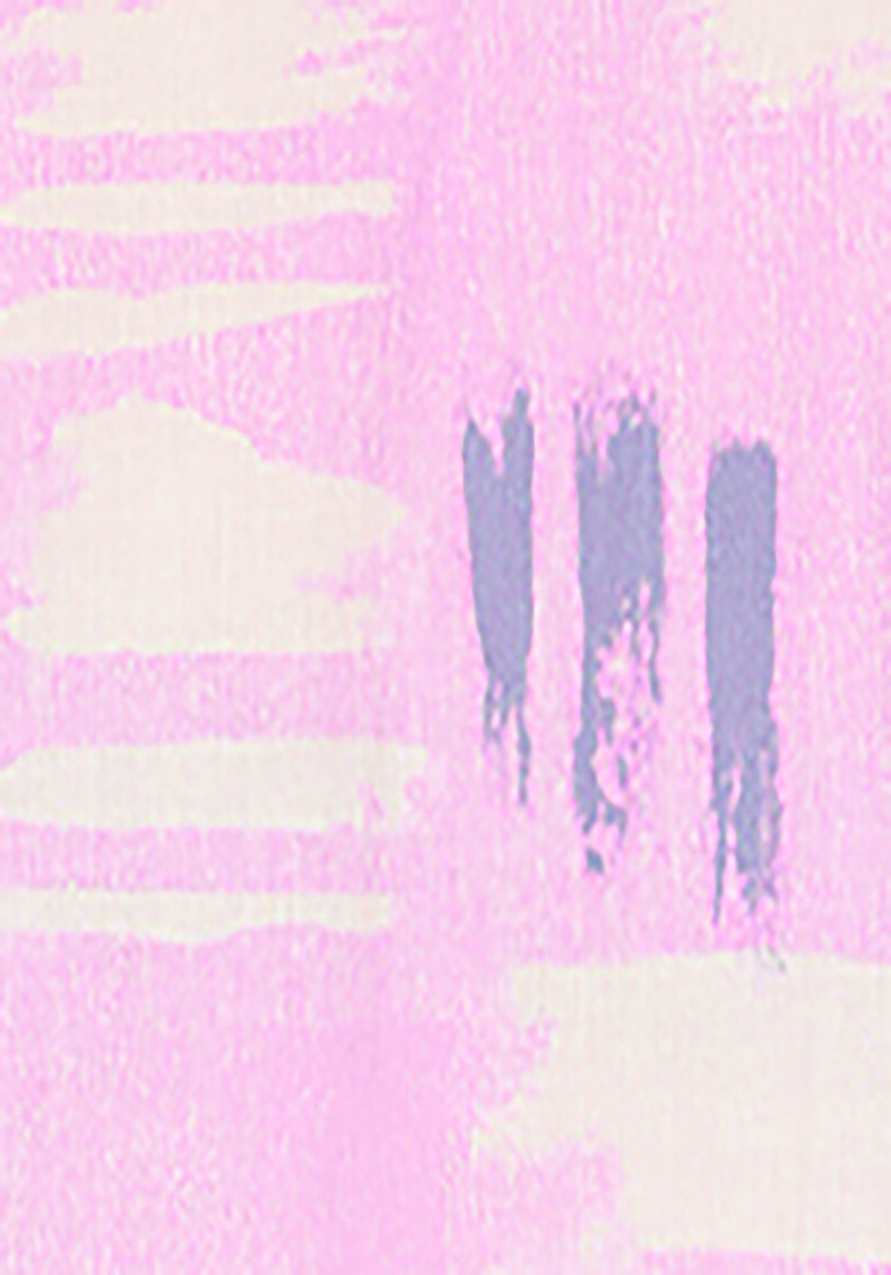 Relax Fit Shirt Neck Baskılı Kadın Pembe Uzun Kol Gömlek