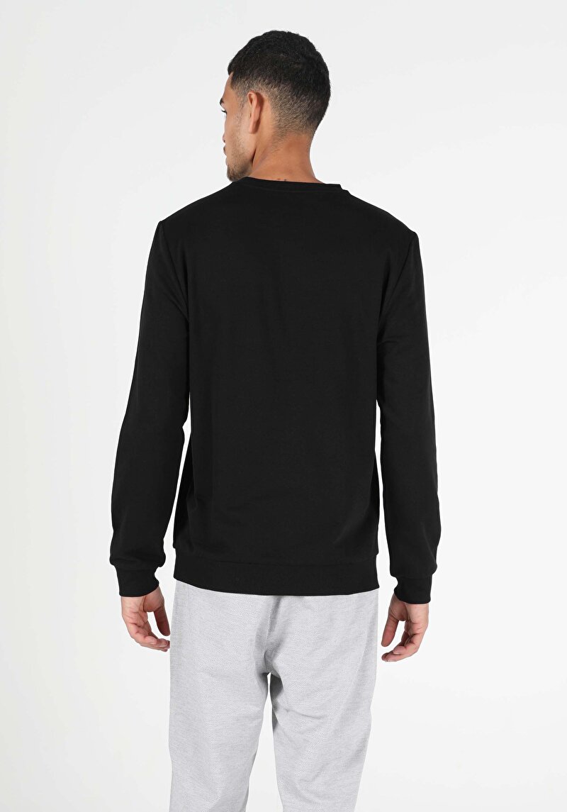 Regular Fit Aslan Baskılı Erkek Siyah Sweatshirt