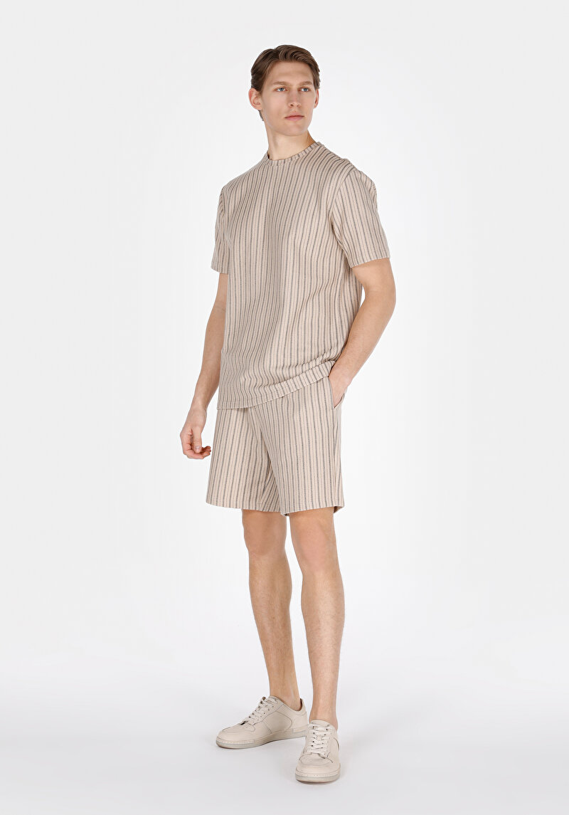 Comfort Fit Yuvarlak Yaka Çizgili Erkek Bej Kısa Kol Tişört