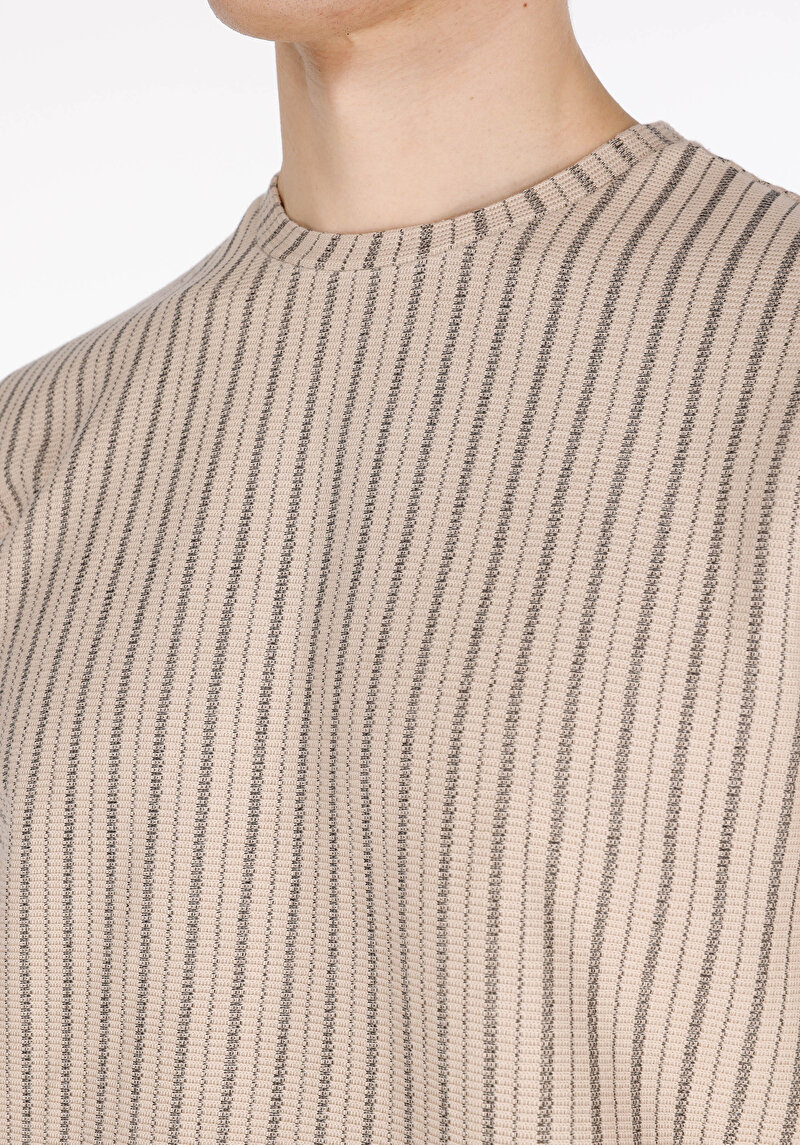Comfort Fit Yuvarlak Yaka Çizgili Erkek Bej Kısa Kol Tişört