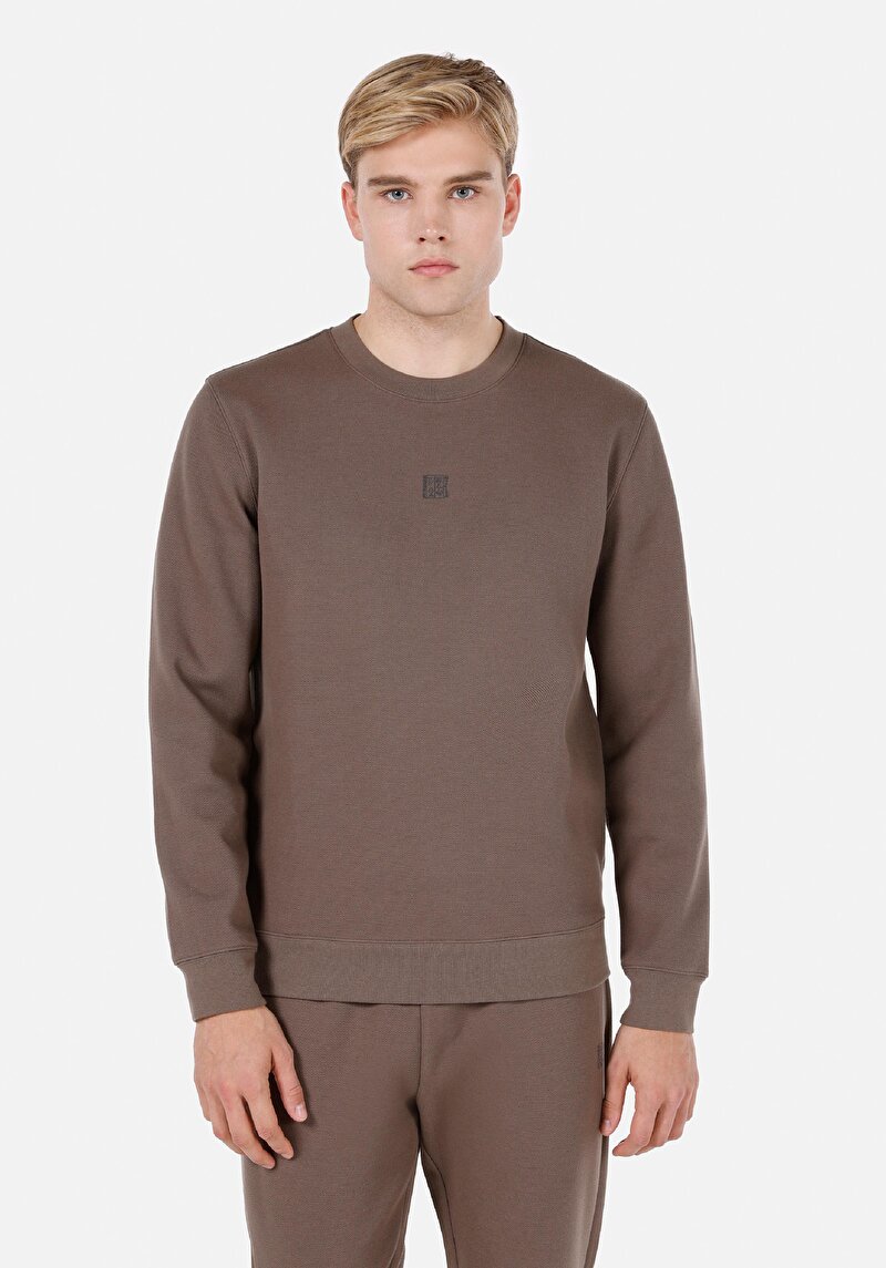 Regular Fit Erkek Gri Sweatshirt