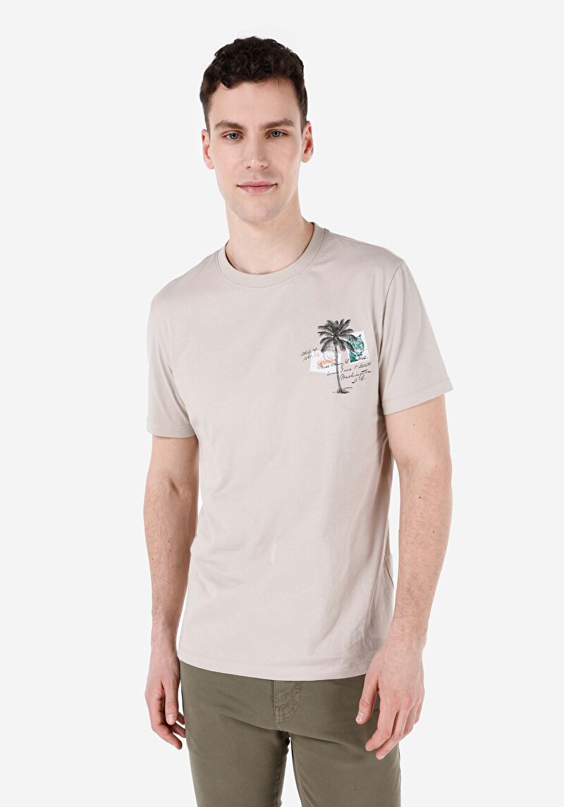 Regular Fit Yuvarlak Yaka Düz Erkek Taş Kısa Kol Tişört