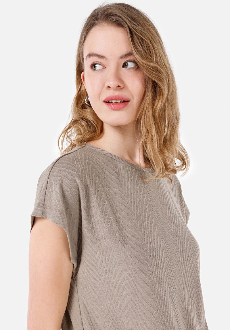 Regular Fit Yuvarlak Yaka Kadın Kısa Kol Tişört