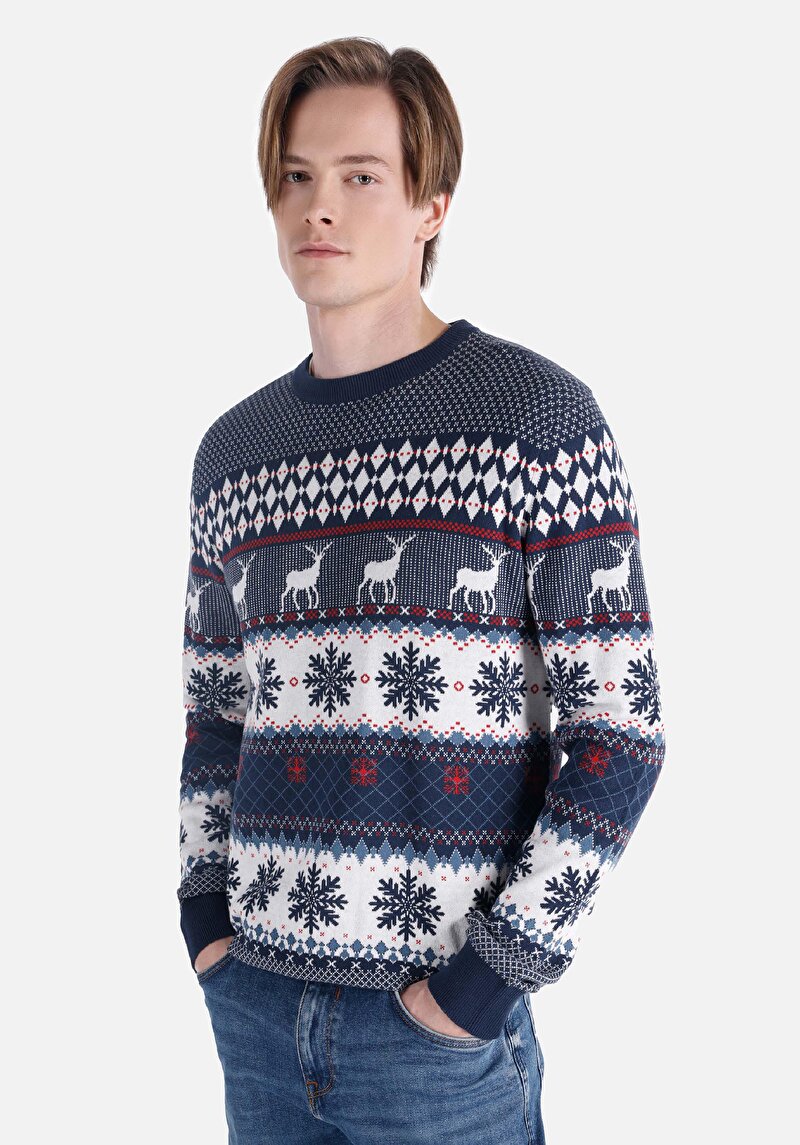 Regular Fit Yuvarlak Yaka Baskılı Erkek Çok Renkli Kazak