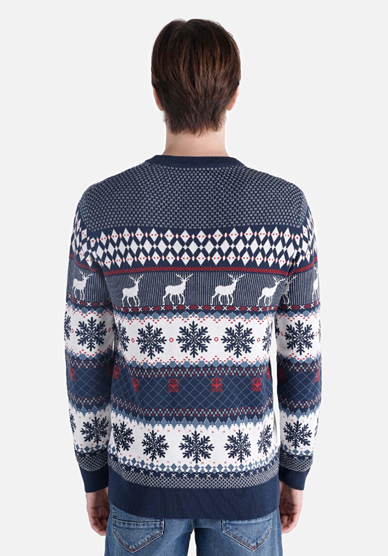 Regular Fit Yuvarlak Yaka Baskılı Erkek Çok Renkli Kazak