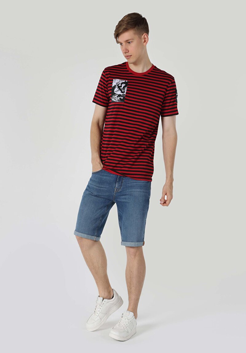 Regular Fit Yuvarlak Yaka Çizgili Erkek Kirmizi Kısa Kol Tişört