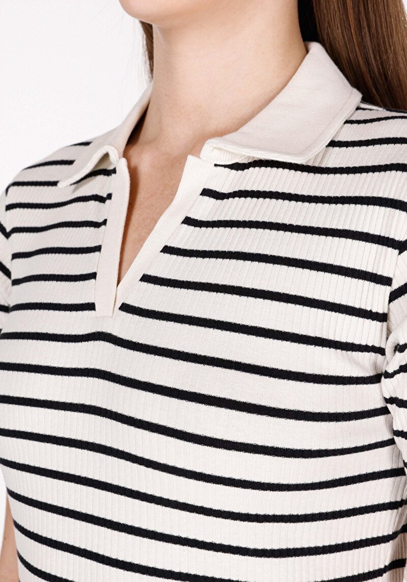 Slim Fit Polo Yaka Çizgili Kadın Siyah Kısa Kol Tişört