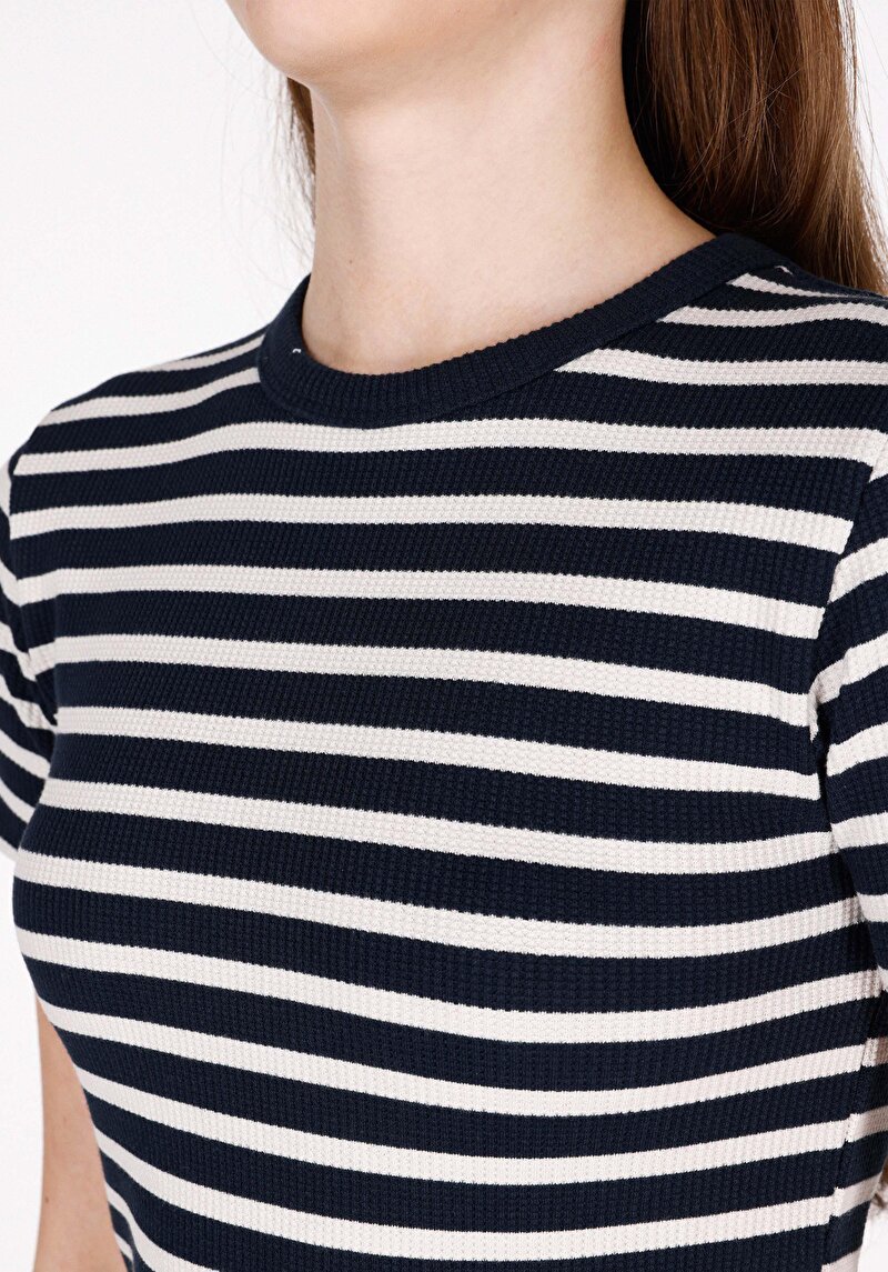 Slim Fit Yuvarlak Yaka Çizgili Kadın Lacivert Kısa Kol Tişört