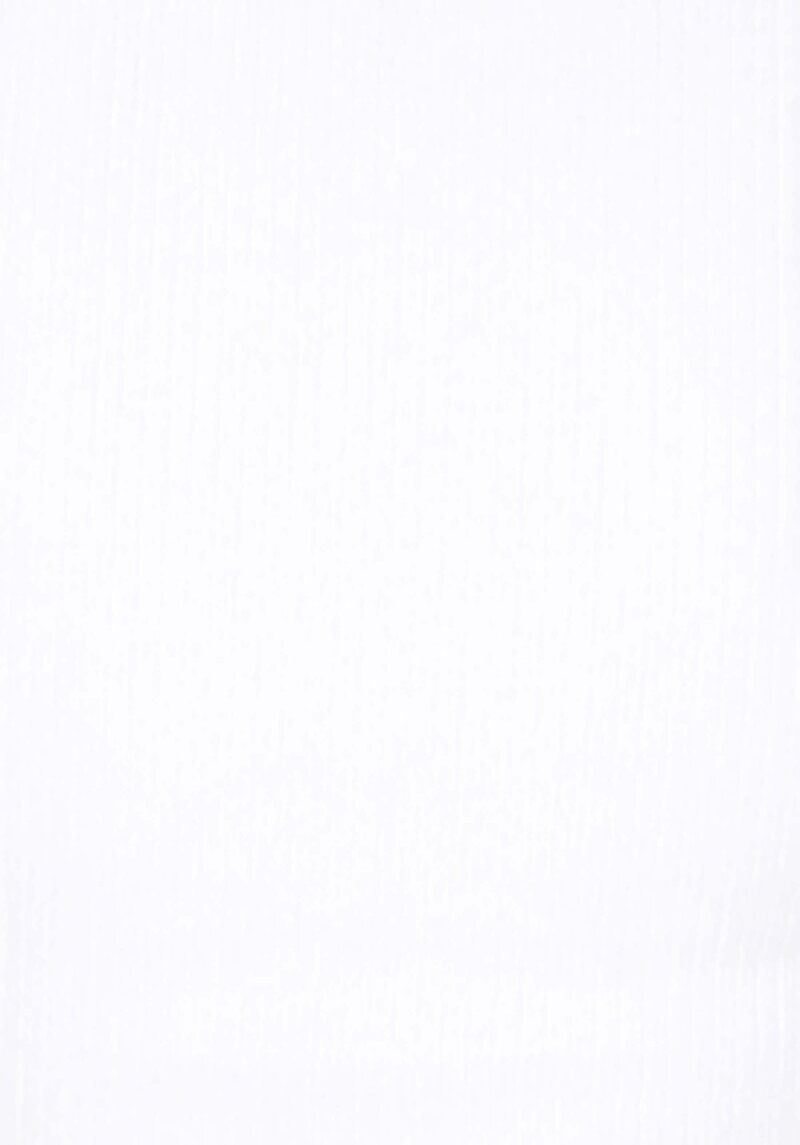 Slim Fit Polo Yaka Düz Kadın Beyaz Kısa Kol Tişört