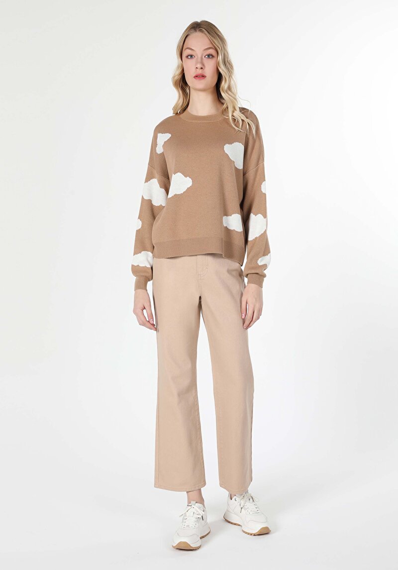 Regular Fit Yuvarlak Yaka  Kadın Bej Kazak Cl1061094