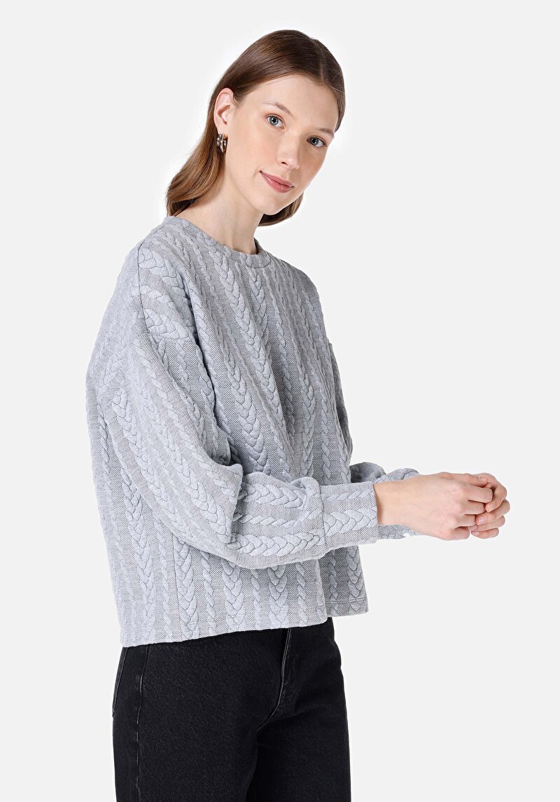 Regular Fit Yuvarlak Yaka Jakarlı Kadın Gri Uzun Kol Tişört