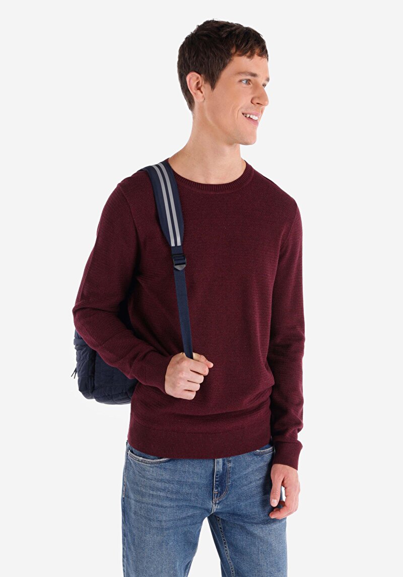 Regular Fit Yuvarlak Yaka Jakarlı Erkek Mor Triko Kazak