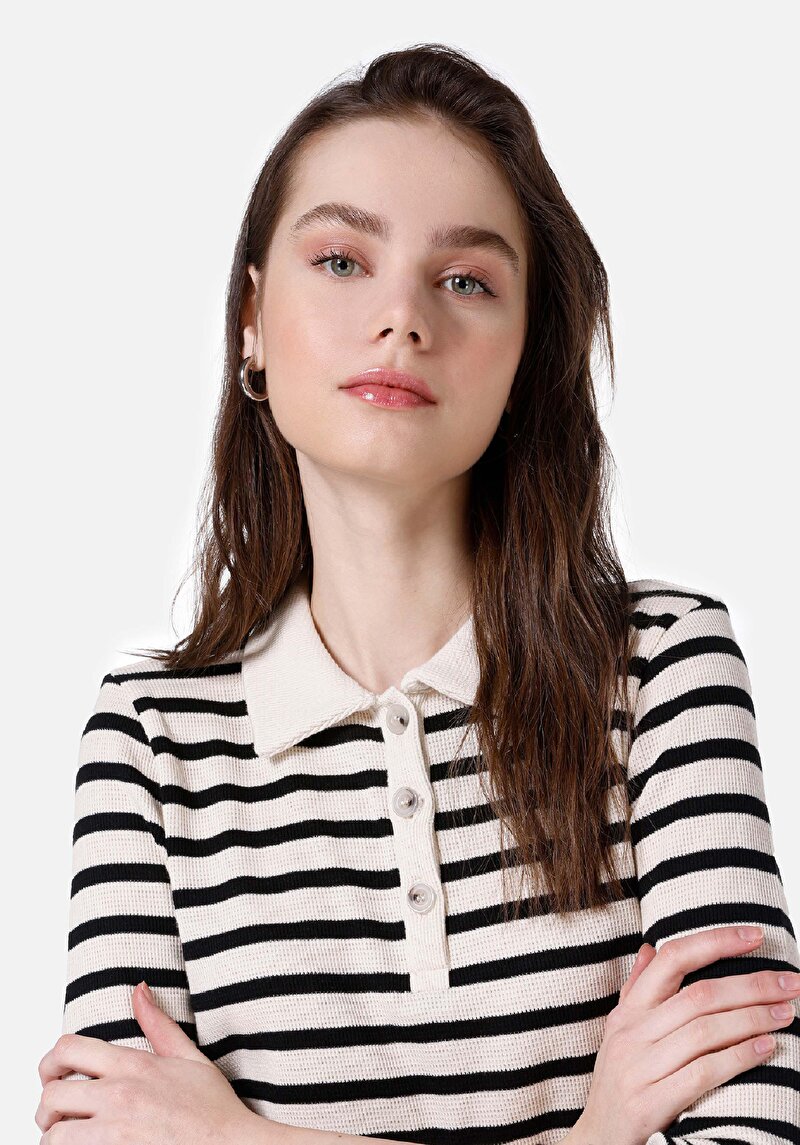 Regular Fit Polo Yaka Çizgili Kadın Siyah Uzun Kol Tişört