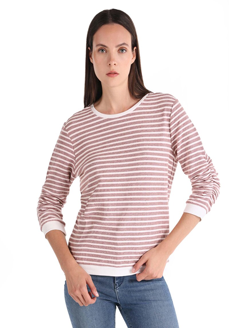 Regular Fit Yuvarlak Yaka Çizgili Kadın Pembe ¾ Kol Tişört