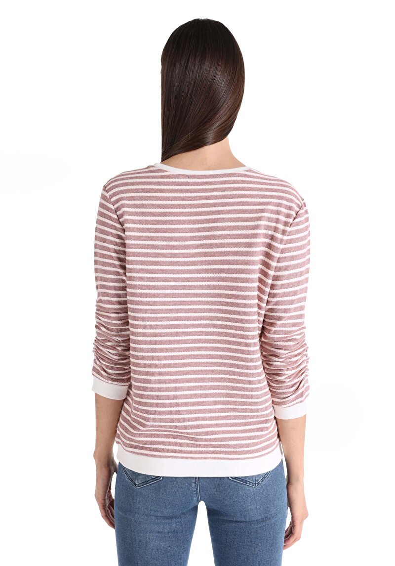 Regular Fit Yuvarlak Yaka Çizgili Kadın Pembe ¾ Kol Tişört