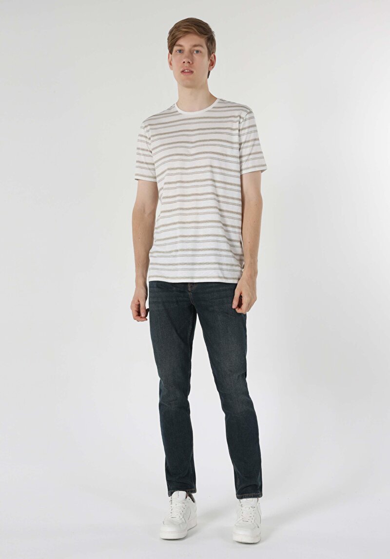 Regular Fit Yuvarlak Yaka Çizgili Erkek Beyaz Kısa Kol Tişört