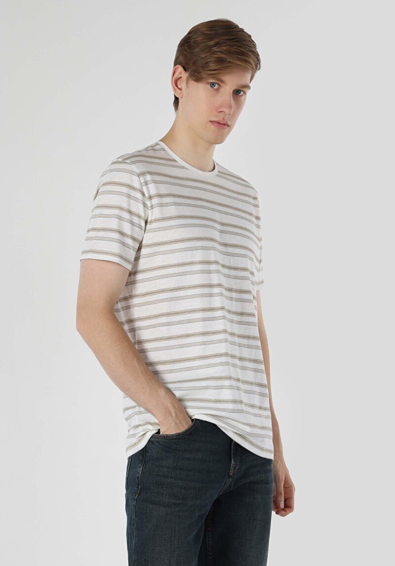 Regular Fit Yuvarlak Yaka Çizgili Erkek Beyaz Kısa Kol Tişört