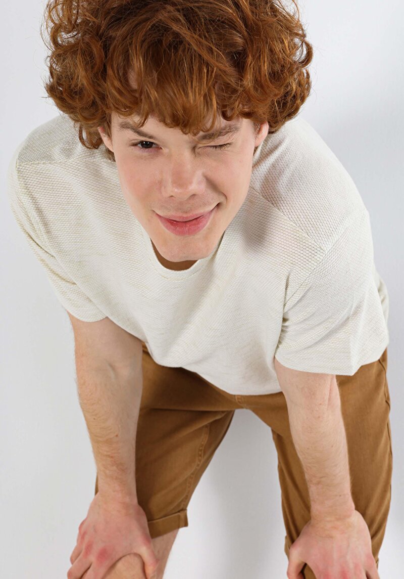 Regular Fit Yuvarlak Yaka Jakarlı Erkek Beyaz Kısa Kol Tişört