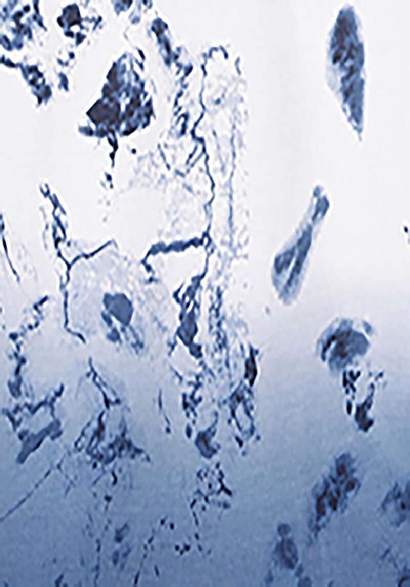 Comfort Fit Yuvarlak Yaka  Erkek Beyaz Kısa Kol Tişört