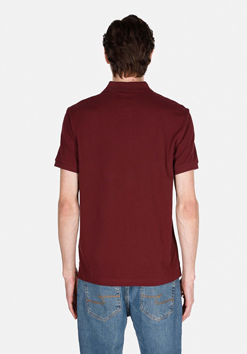 Regular Fit Polo Yaka Düz Erkek Mor Kısa Kol Tişört