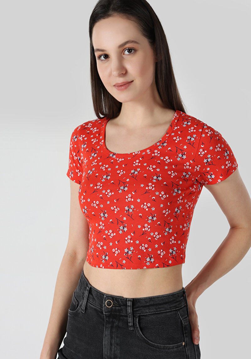 Slim Fit Yuvarlak Yaka Çiçekli Kadın Kirmizi Kısa Kol Tişört